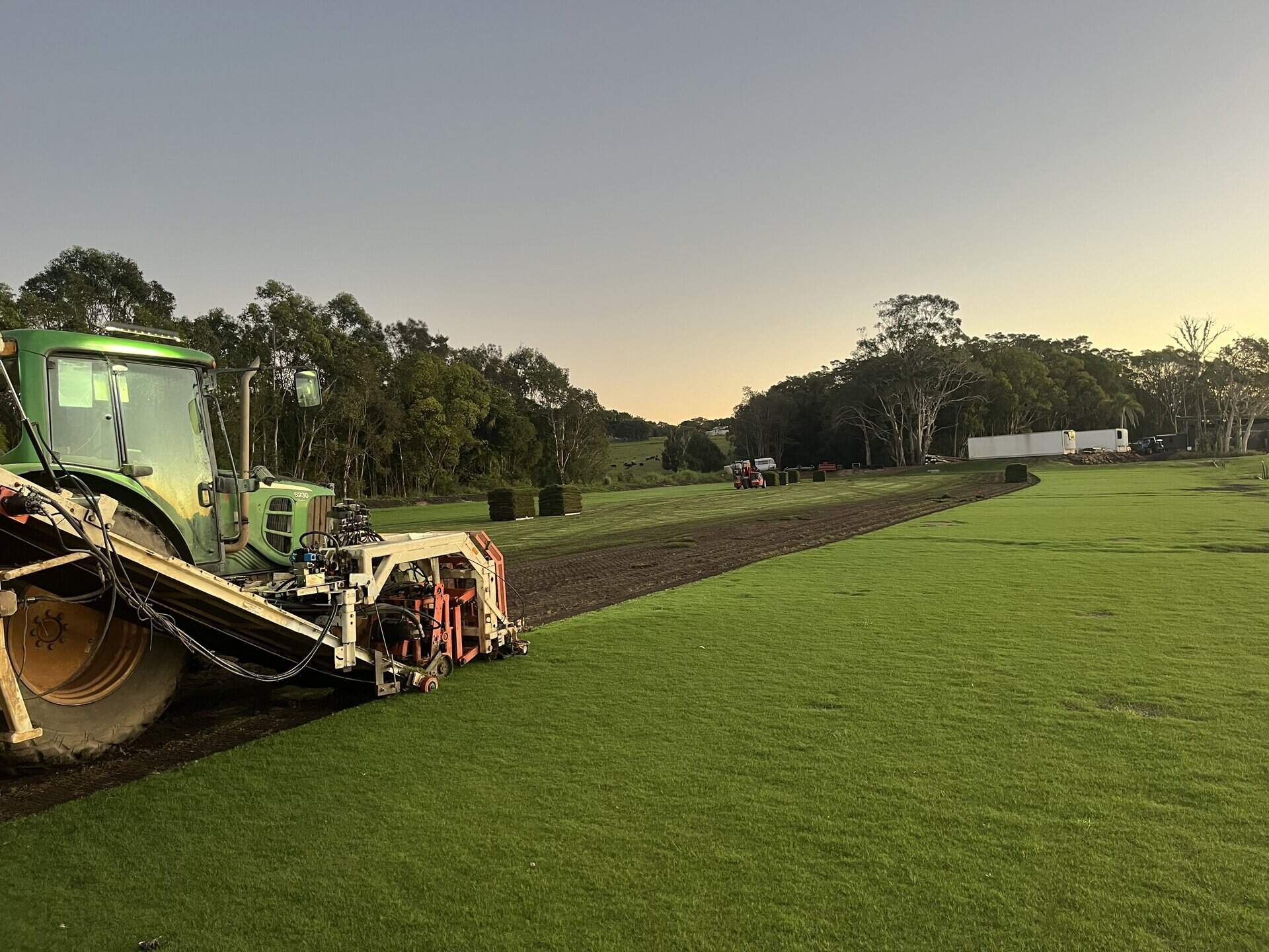 Established lawn grown by Tyagarah Turf