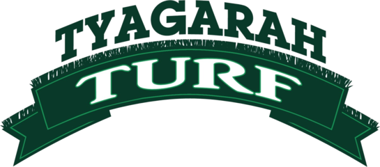Tyagarah Turf